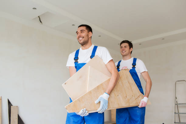 Best Residential Junk Removal  in Cheboygan, MI